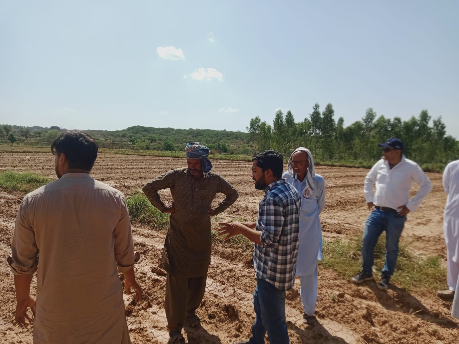 Sesame Corporate Farming