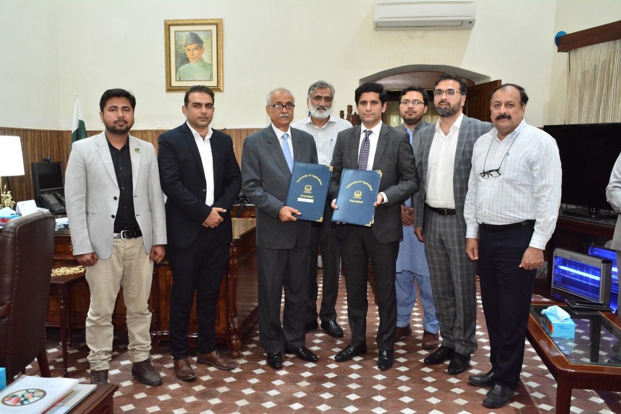 University of Agriculture Faisalabad