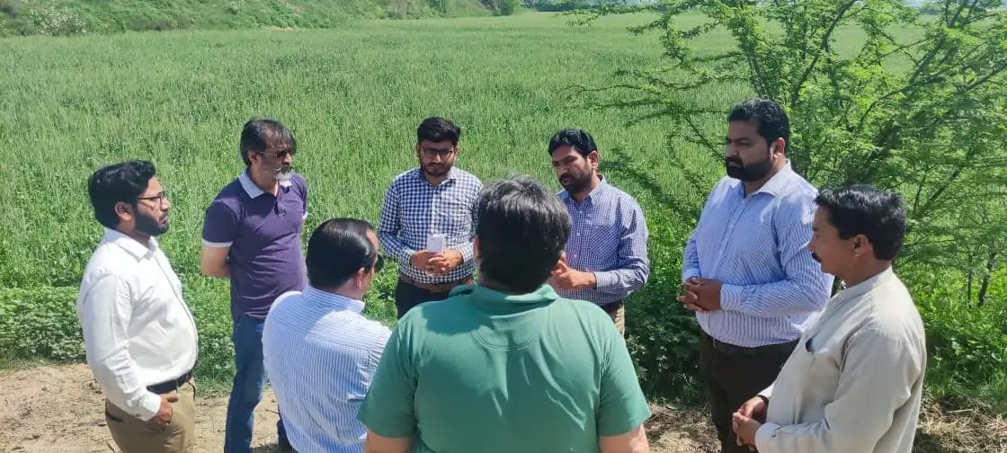 Wheat Fields Visit